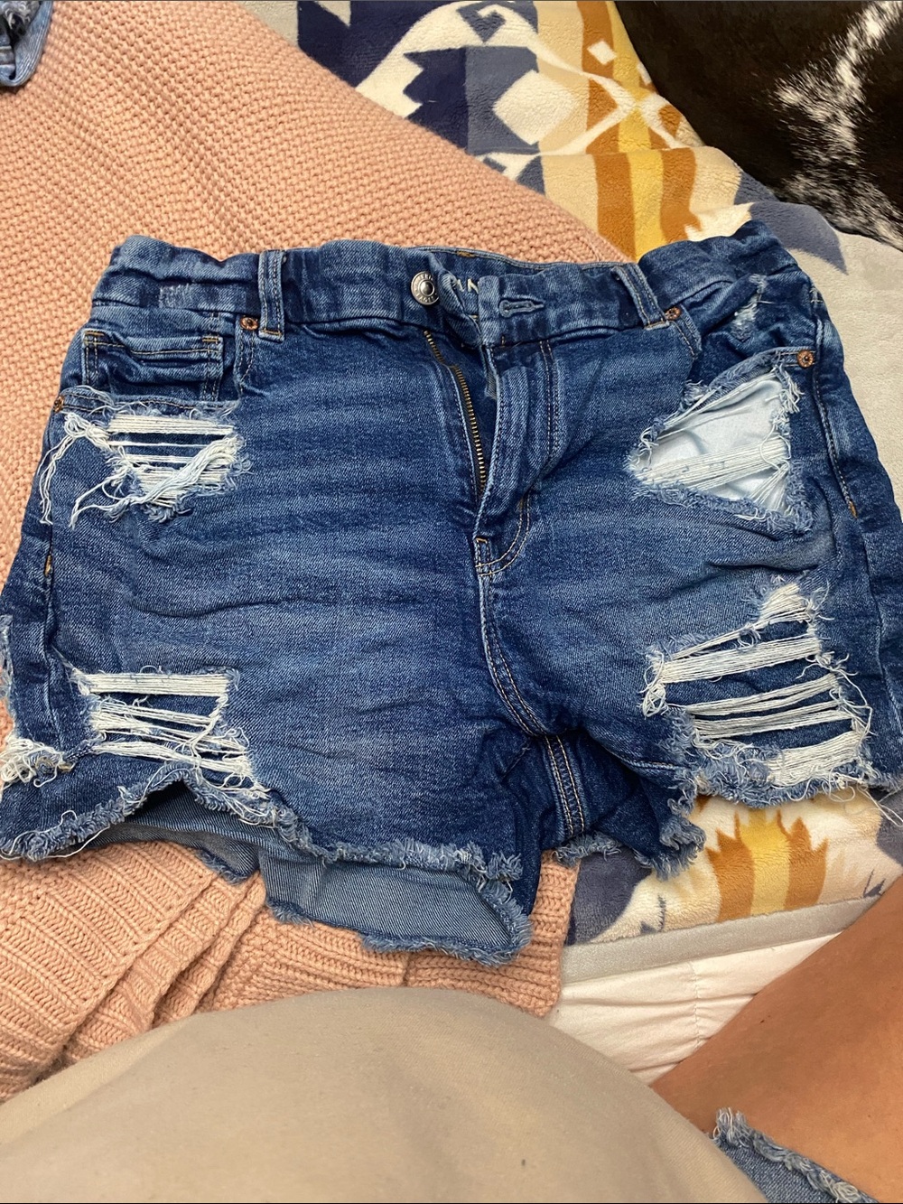 American Eagle Outfitters Distressed Dark Blue Denim Shorts